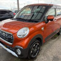 キャスト、ボディーコーティング✨