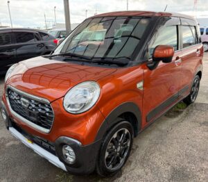 キャスト、ボディーコーティング✨