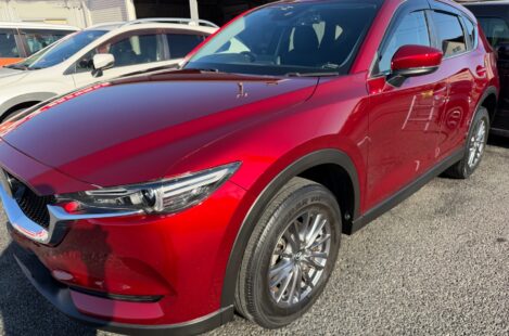 CX-5、ボディーコーティング✨