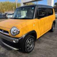 ハスラー、ボディーコーティング✨