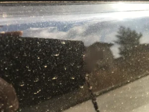 花粉、黄砂の時期✨