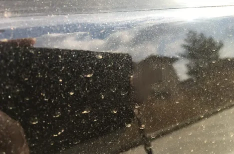 花粉、黄砂の時期✨