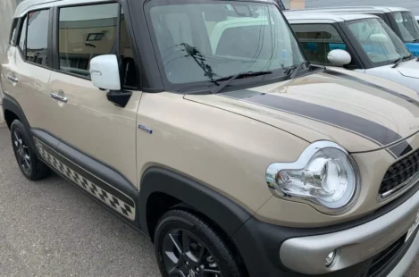 クロスビー、ボディーコーティング✨